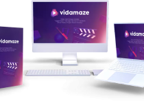 VidAmaze Review